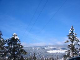 Resize of IMG_1978.jpg